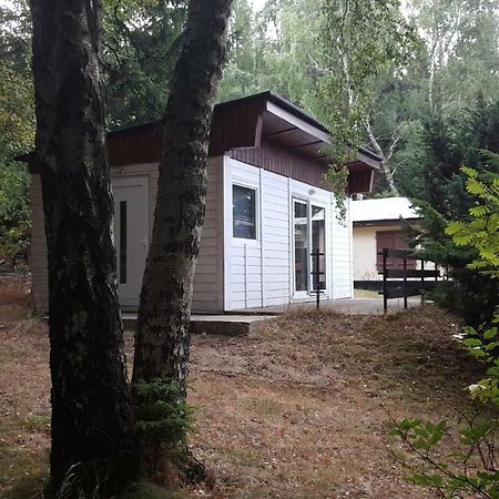 Bungalowdorf Klein Budelsdorf Altenberg Bagian luar foto