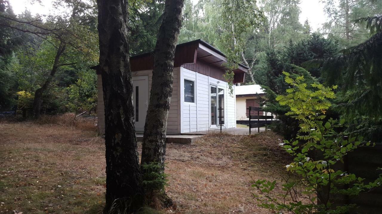 Bungalowdorf Klein Budelsdorf Altenberg Bagian luar foto